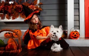 Disfraces y abrigos para perros