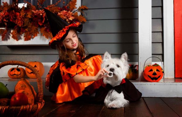 ▷Mejores disfraces y abrigos para perros